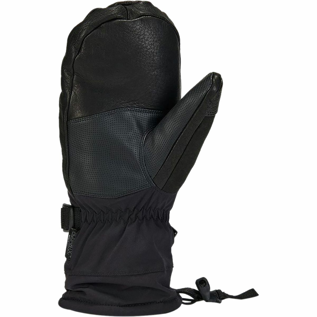 Gordini Polar II Mitten Men's Accessories