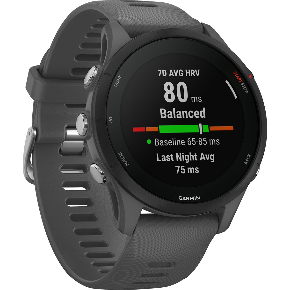 Garmin Forerunner 255 Accessories