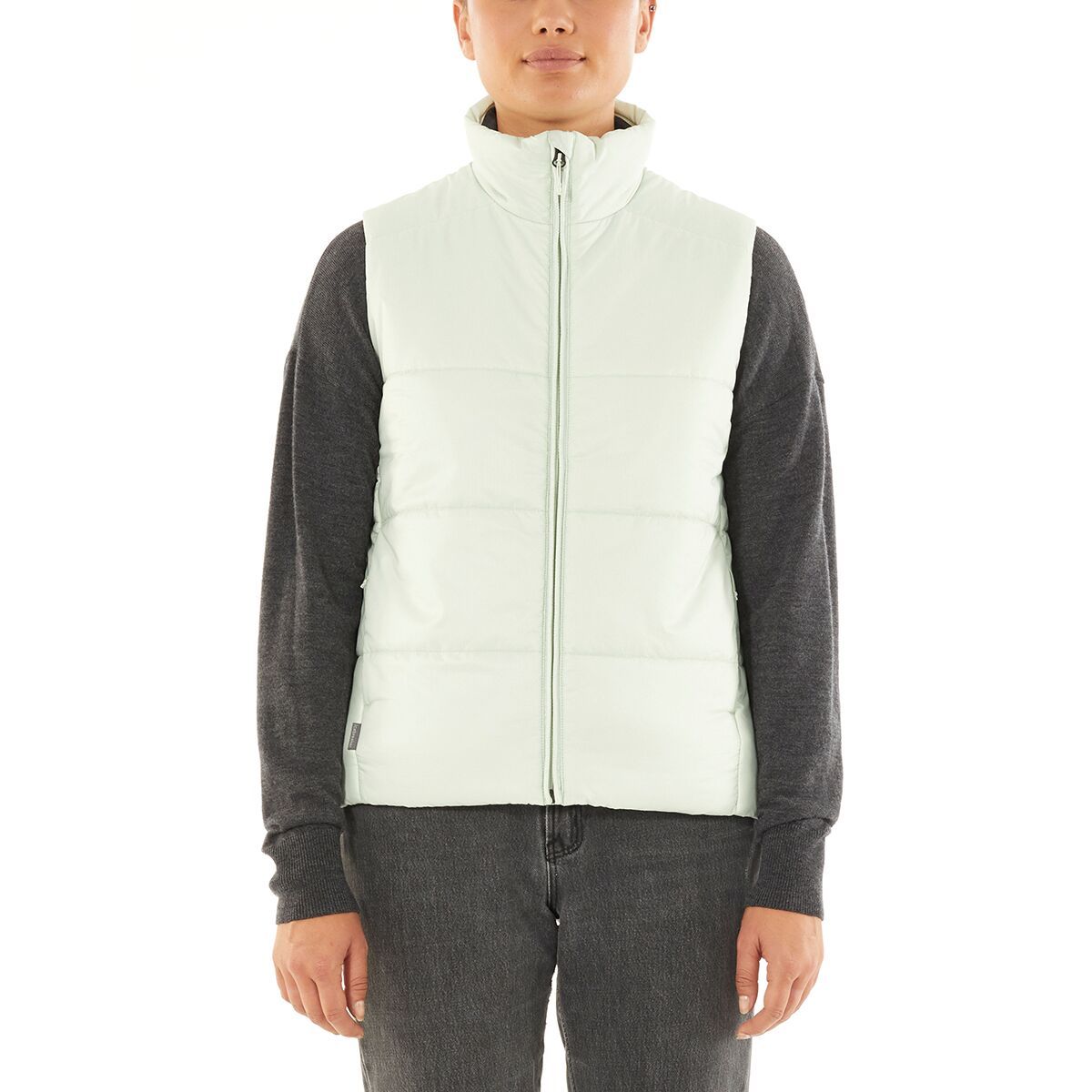 Icebreaker Collingwood Vest Women's Clothing