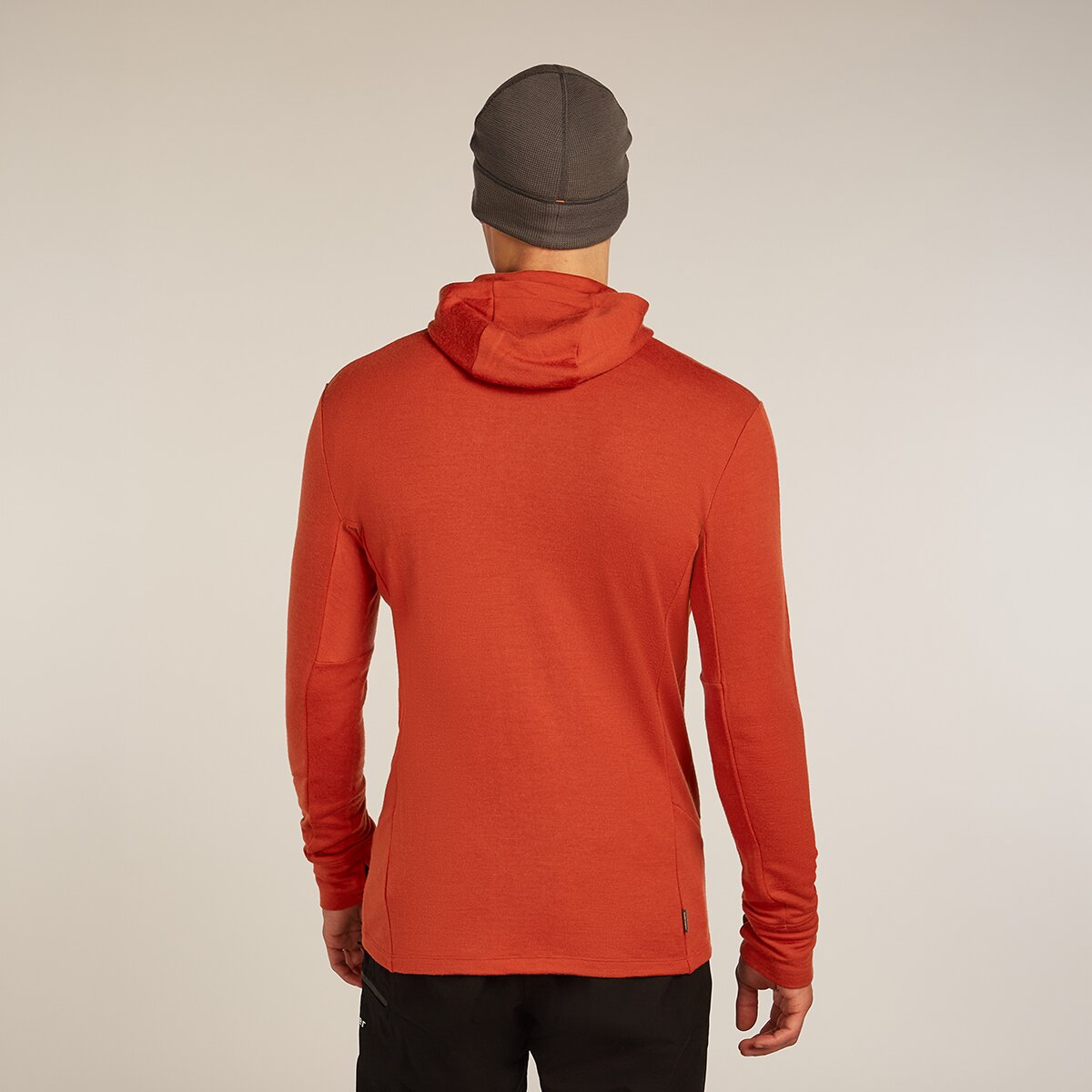 Мужское худи Icebreaker Merino 260 Quantum Long-Sleeve Zip, цвет: Agate — фото 2