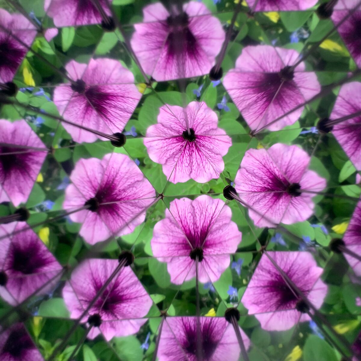 Kikkerland Kaleidoscope