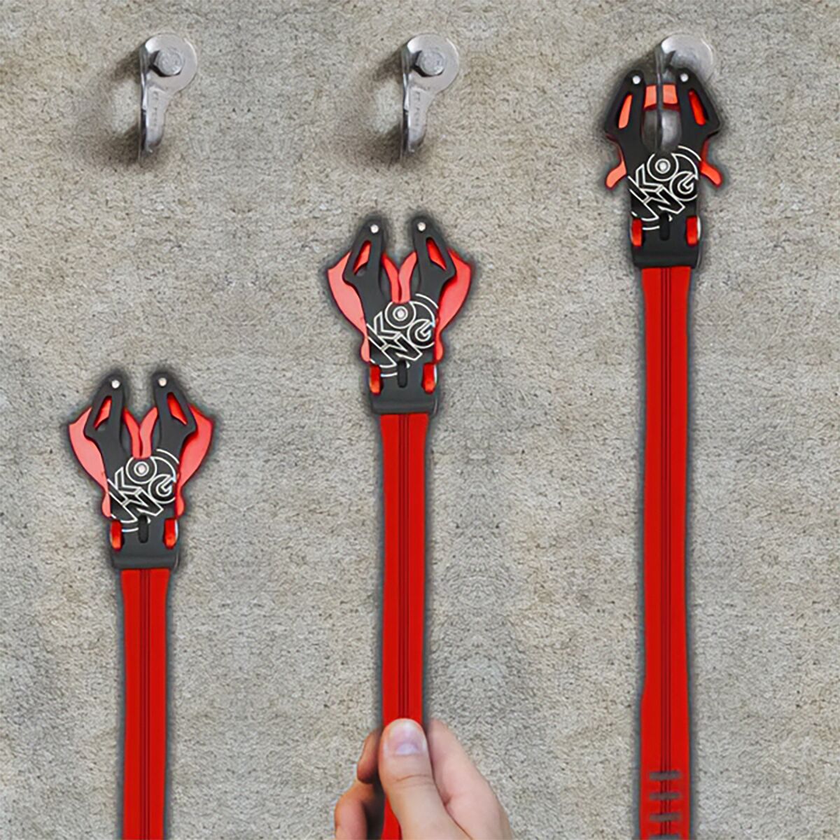 Kong Prog
