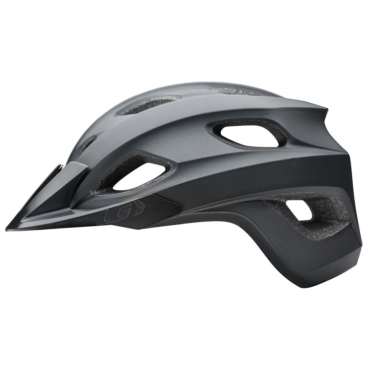 garneau raid mips helmet