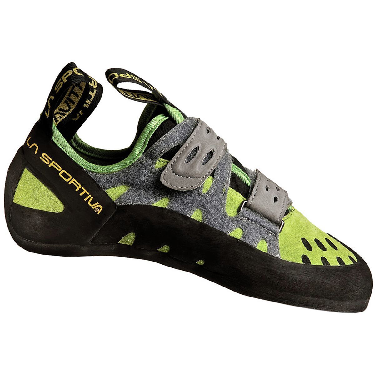 tarantula climbing shoe