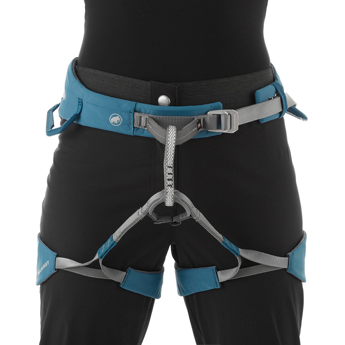 Mammut Alnasca Climbing Pant - Men's main image 0