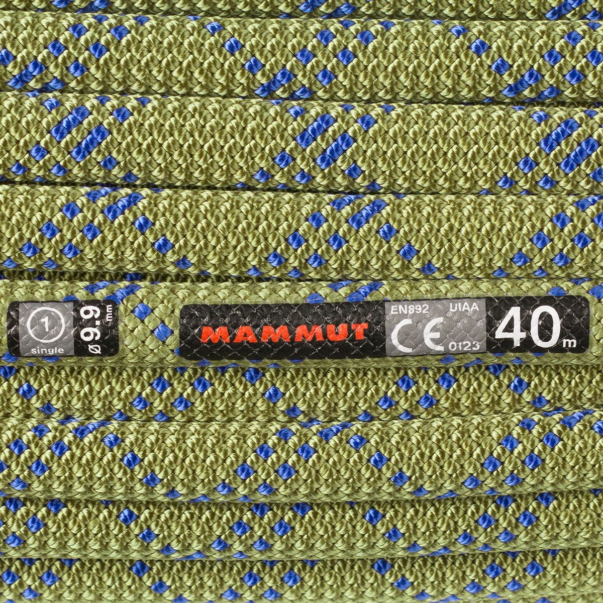 mammut gym classic 9.5