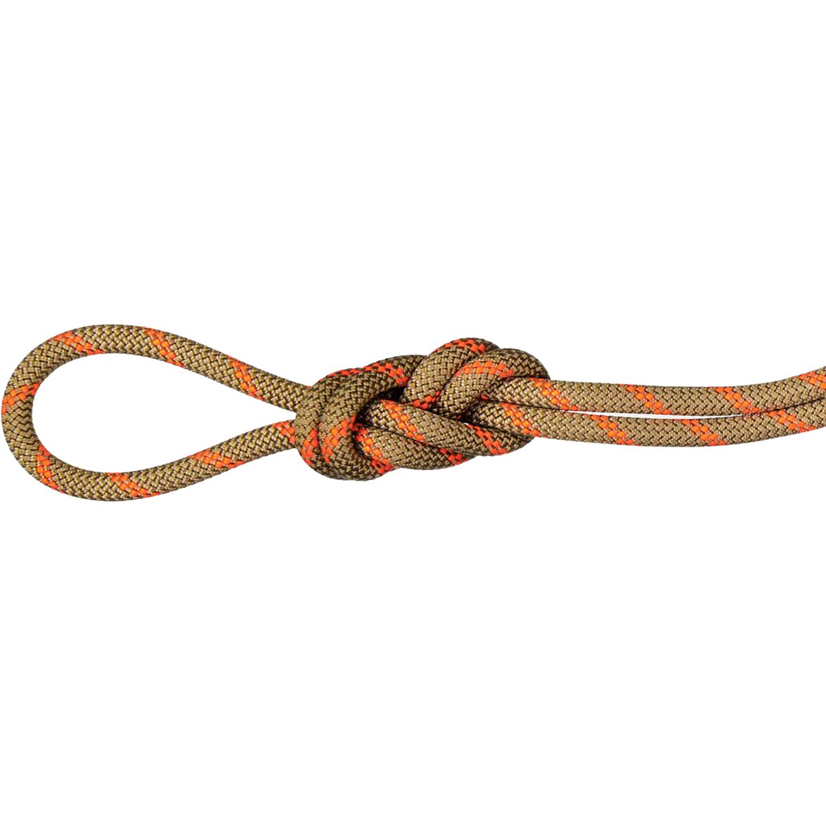 Mammut Alpine Dry Rope - 8.0mm