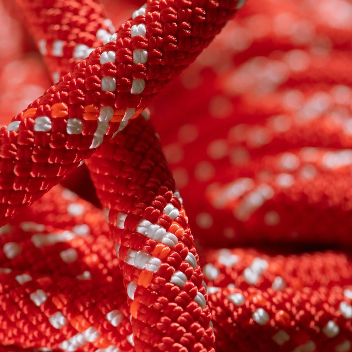 Mammut Gym Classic Rope - 9.5mm - Climb