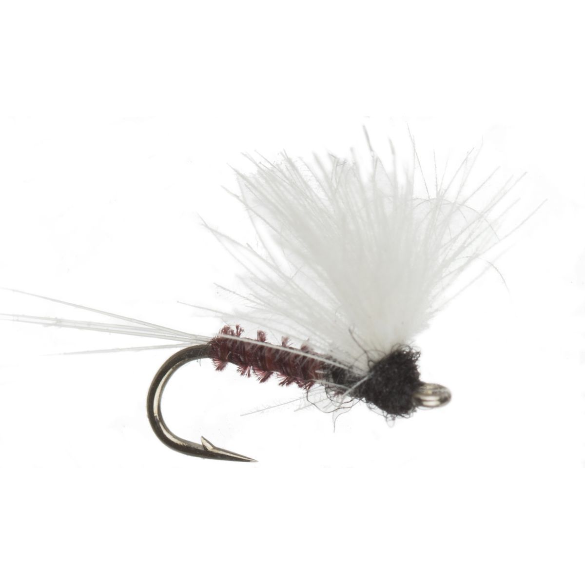 Montana Fly Company CDC Comparadun 6Pack Fishing