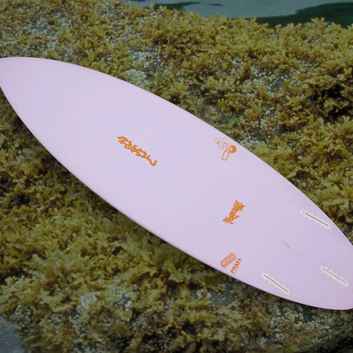 Misfit Fungzetti Art Series Surfboard - Futures
