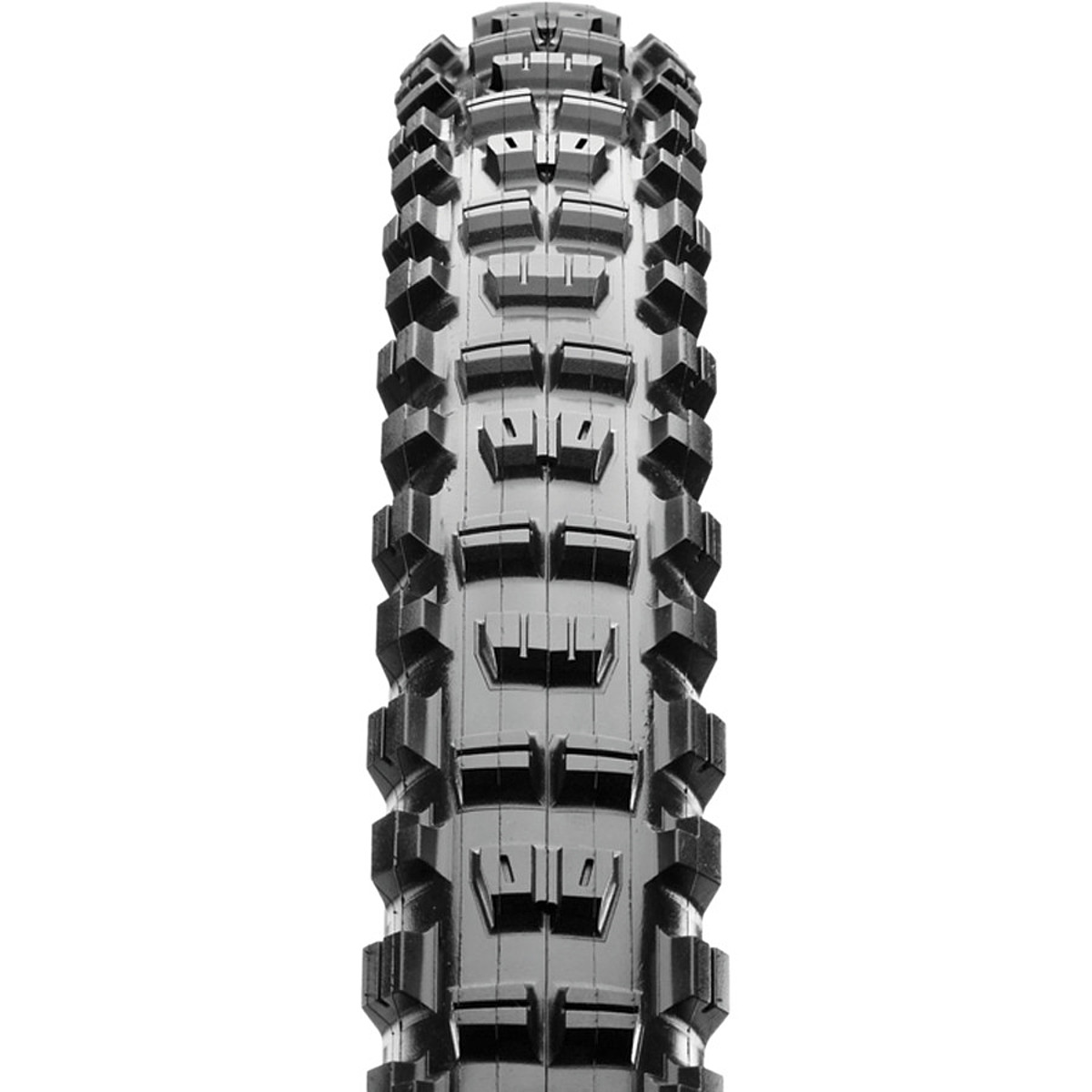Maxxis Minion DHR II Dual Compound/EXO/TR 29in Tire