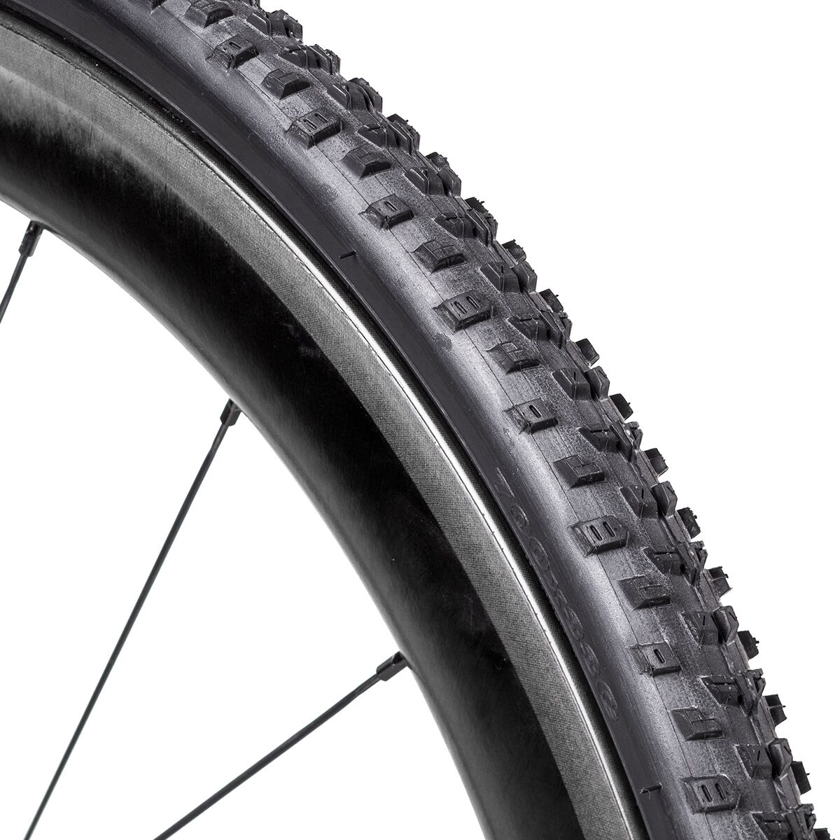 Maxxis All Terrane EXO/TR Tire