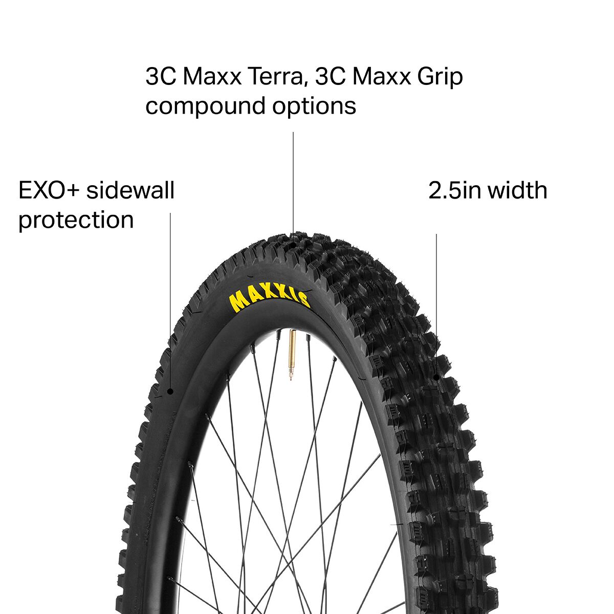 Maxxis Assegai Wide Trail 3C/EXO+/TR 27.5in Tire