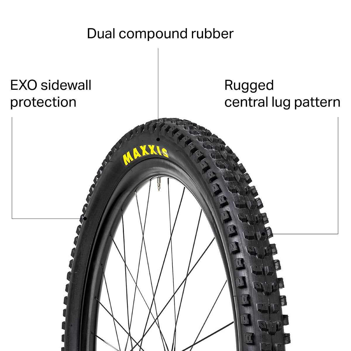 Maxxis Dissector Wide Trail Dual Compound EXO/TR 29in Tire