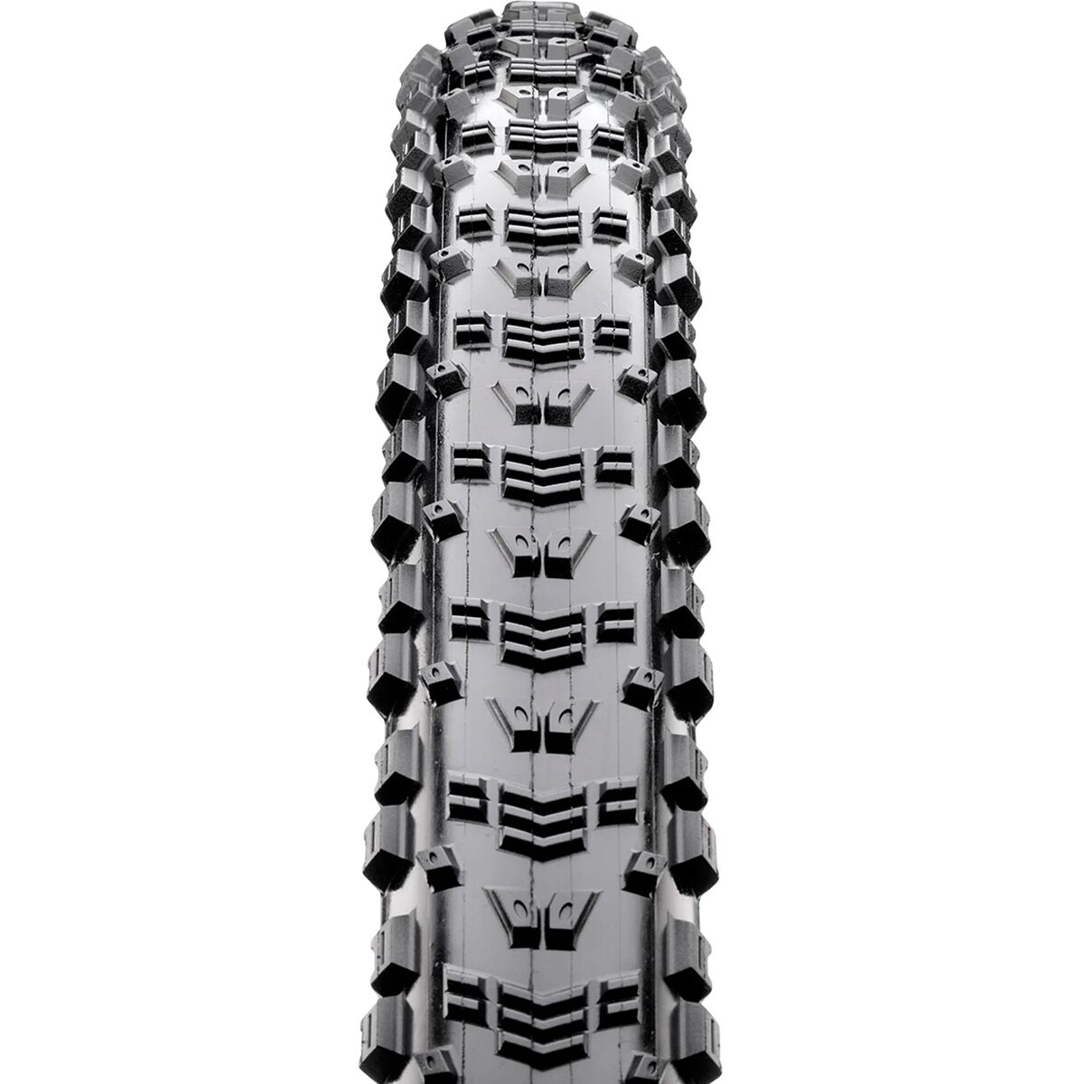 Maxxis Aspen MaxxSpeed/EXO/170tpi/TR 29in Tire