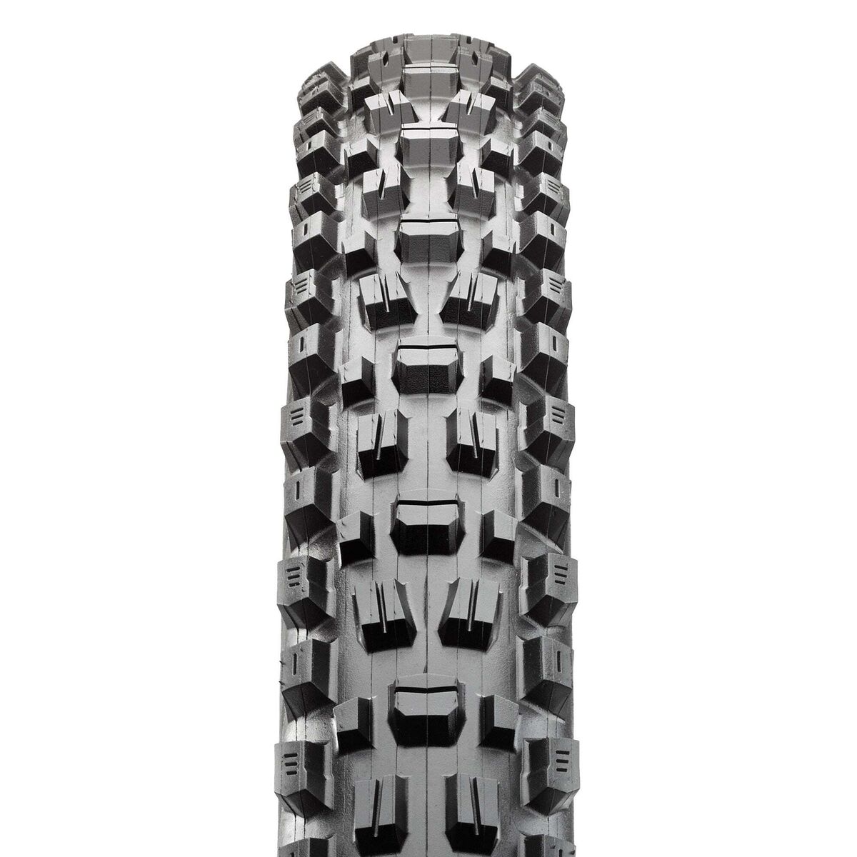 Maxxis Assegai 3C Terra/EXO/TR 29in Tire