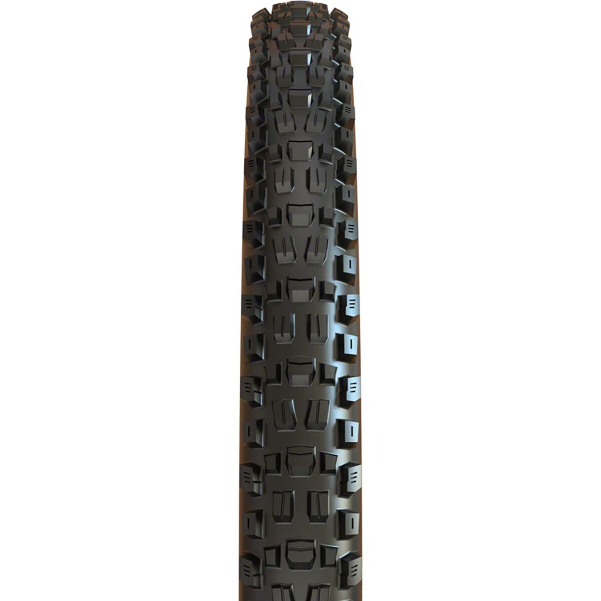 Maxxis Assegai EXO/Wide-Trail/TR 29in Tire