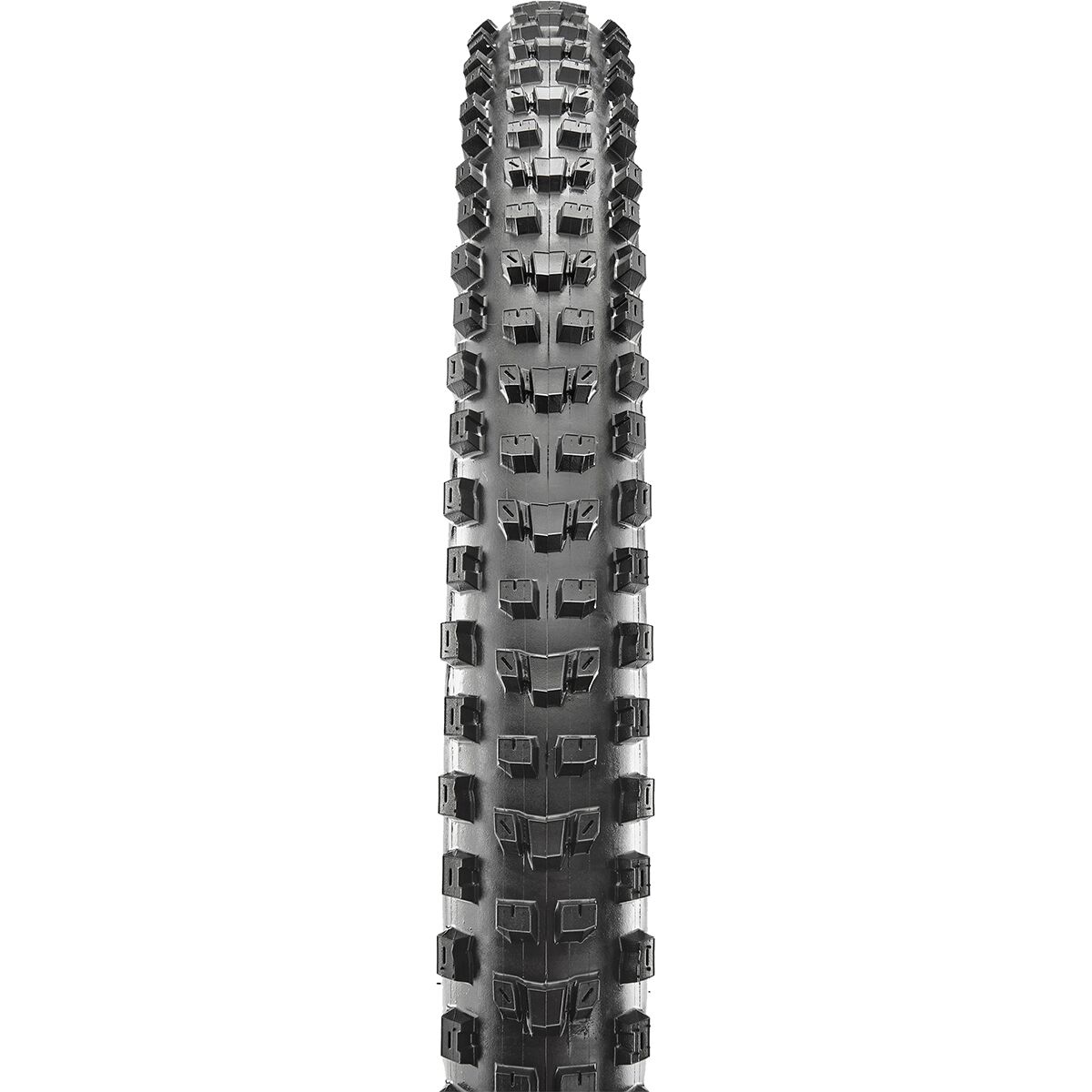 Maxxis Dissector 3C/MaxxTerra/Double-Down/TR 29in Tire