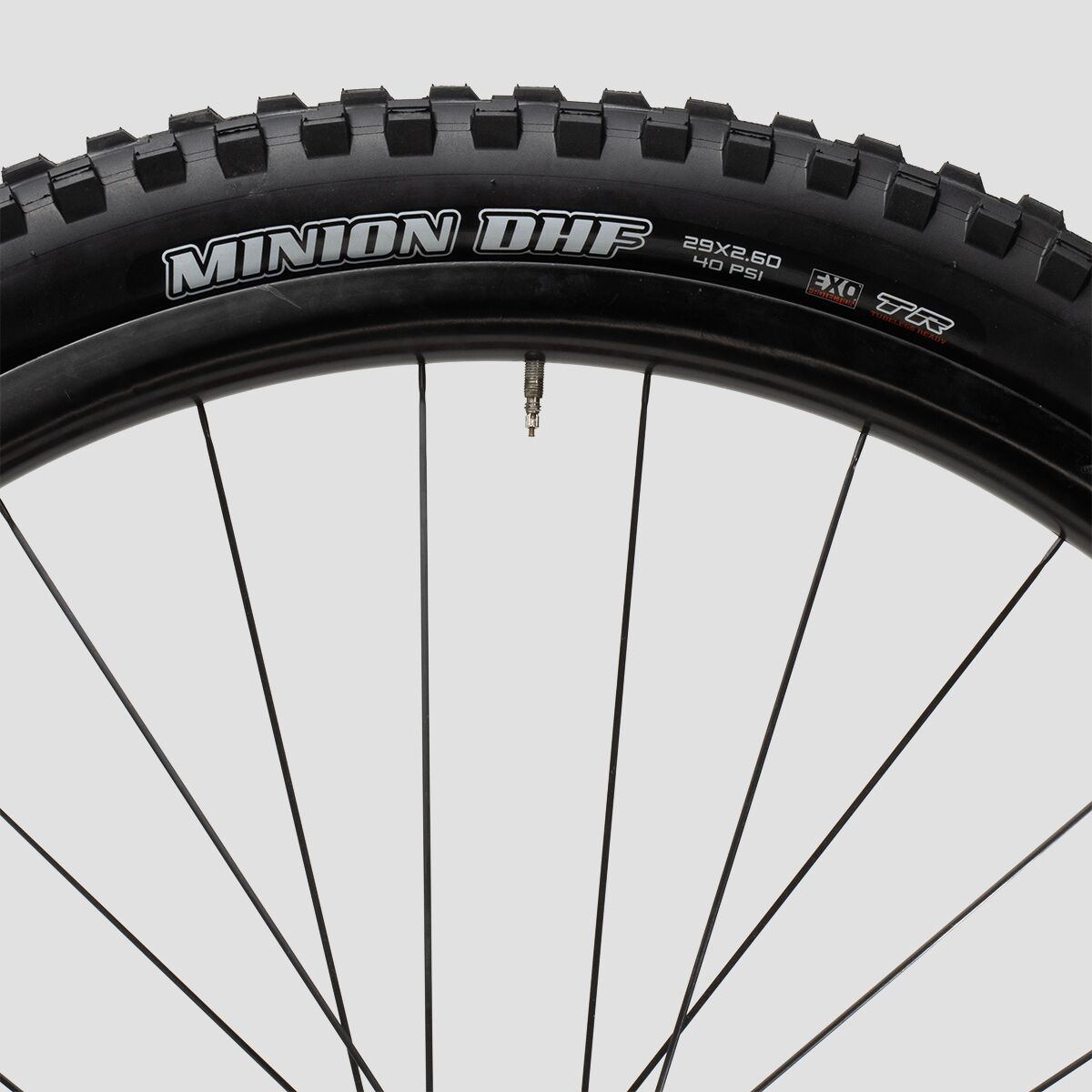 Maxxis Minion DHF Dual Compound/EXO/Wide-Trail/TR 29in Tire