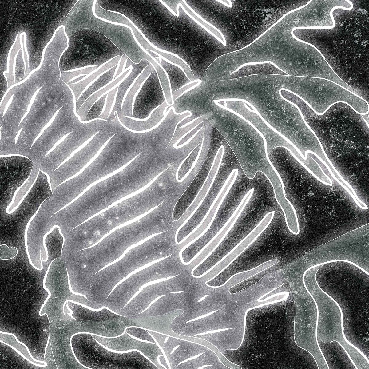 Niche Minx Snowboard 2023 Women's Snowboard