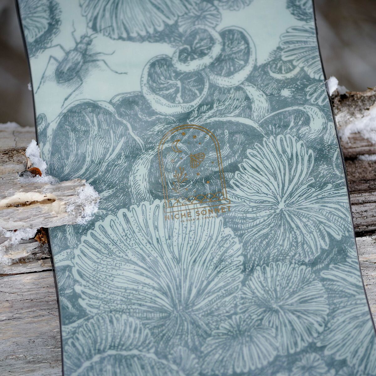 Niche Snowboard 2023 Women's Snowboard