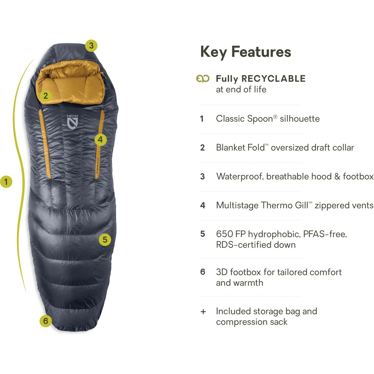 NEMO Equipment Inc. Disco Endless Promise Sleeping Bag: 15F...
