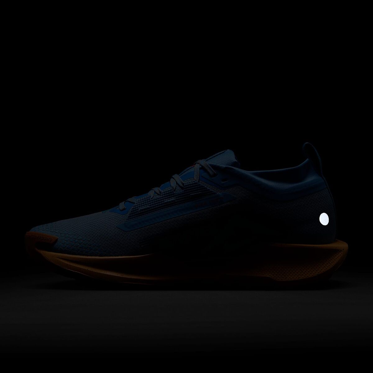 Nike Pegasus Trail 5 GORE-TEX Running Shoe - Men´s