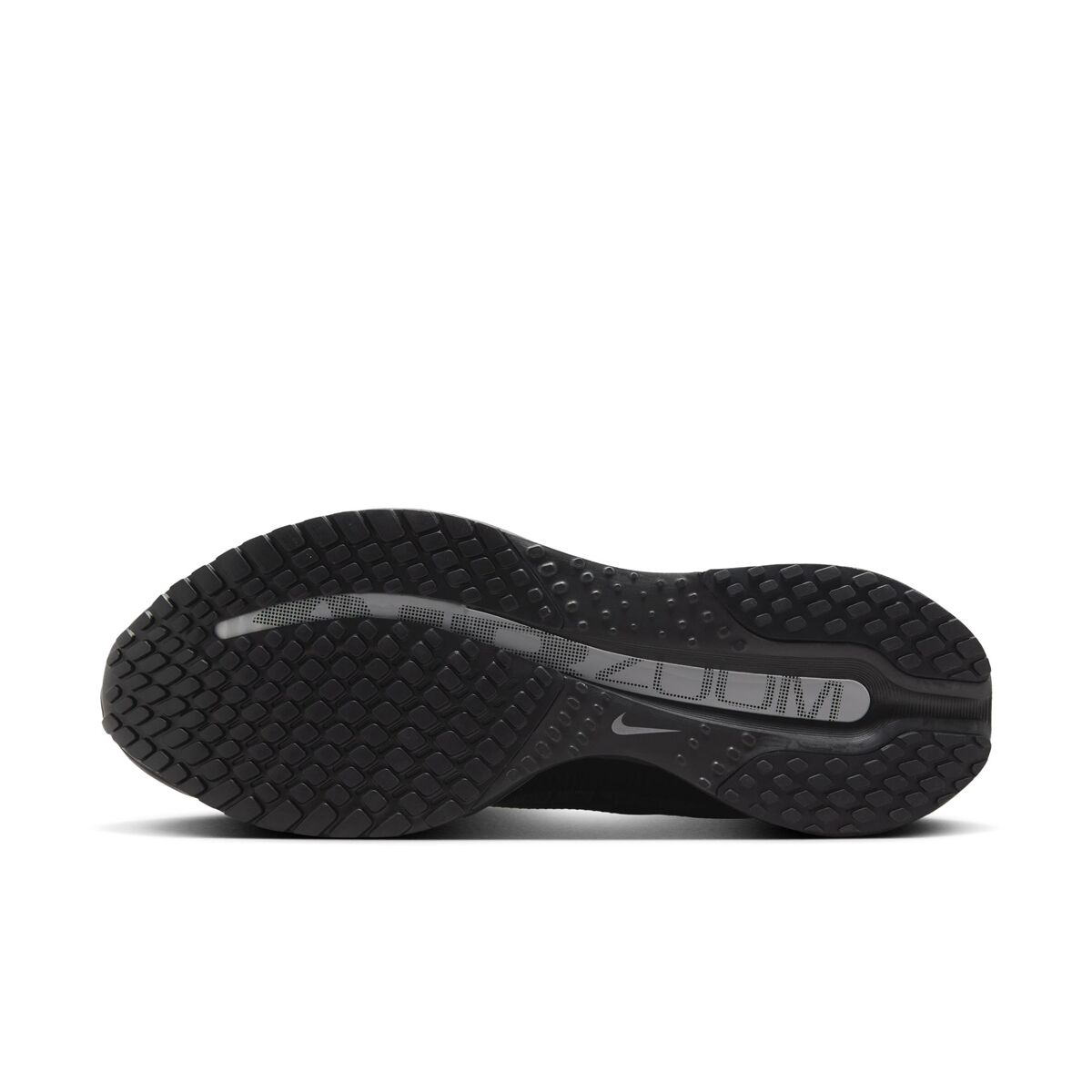 Мужские кроссовки Nike Pegasus Premium Running, цвет: Чёрный / Чёрный серебряный — фото 6