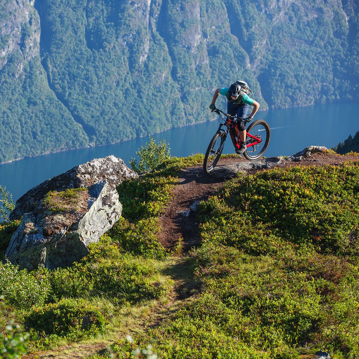 Norrona Fjora Flex1 Short - Women´s