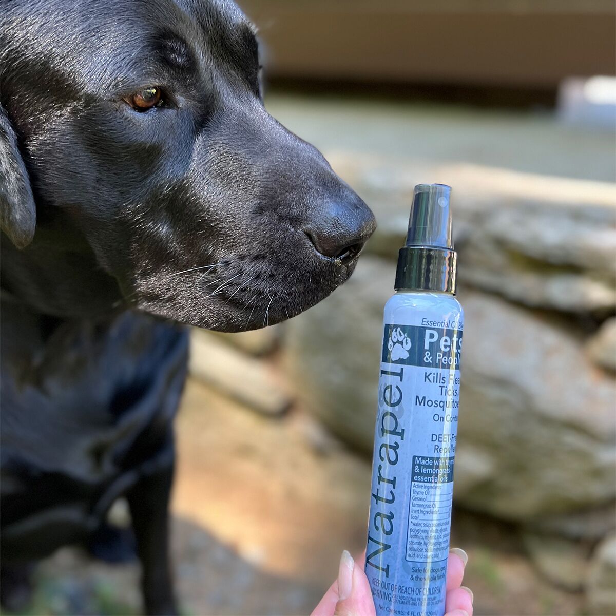 Natrapel Essential Oil Insect Repellent For Pets And People Hike & Camp