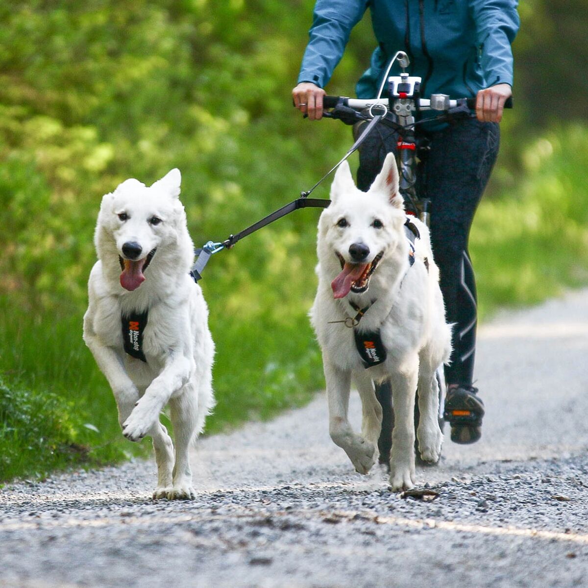 Non-stop Dogwear Touring Double
