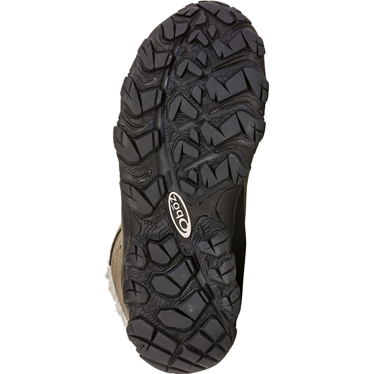 Oboz Bridger 9in Insulated BDry Wide Boot Women's Footwear
