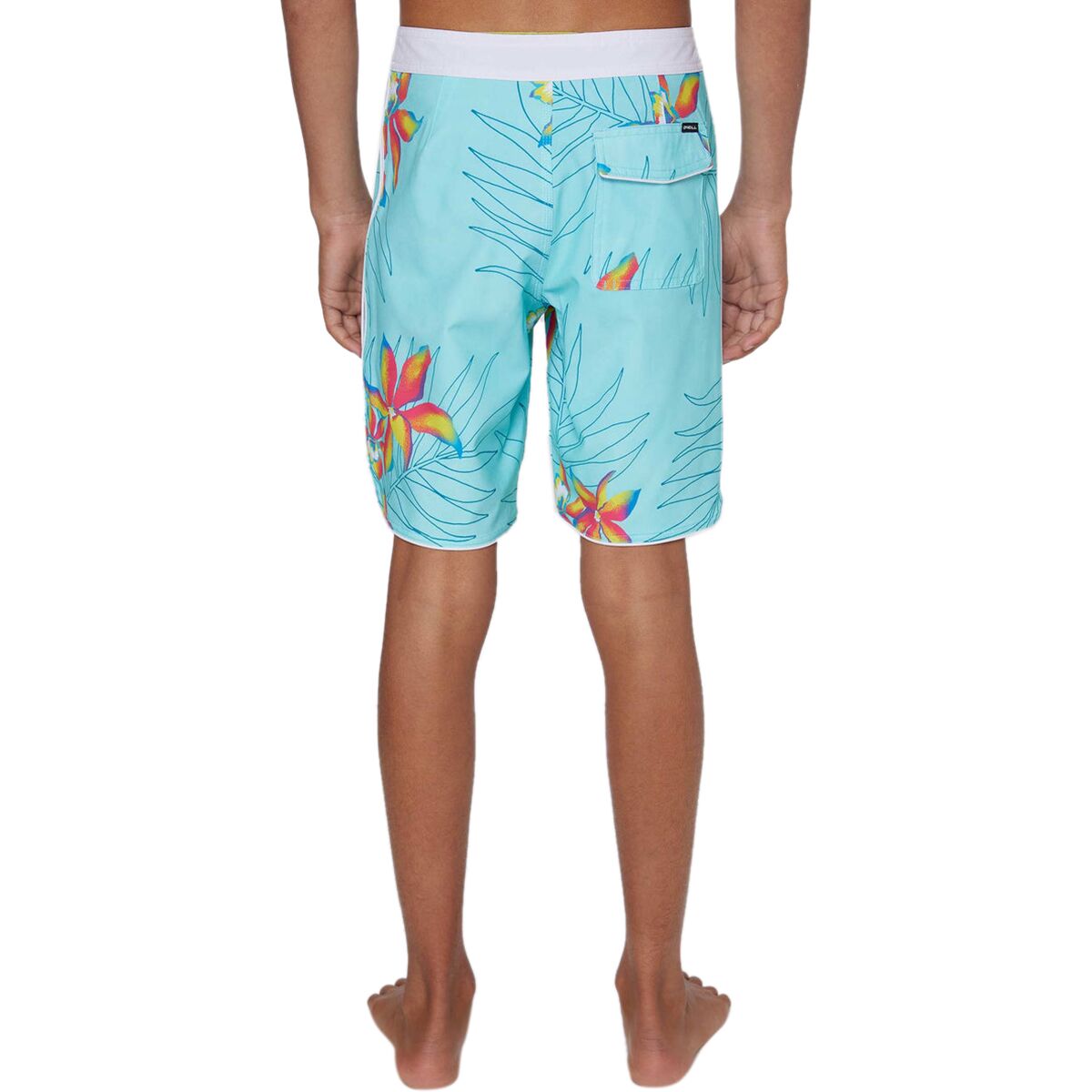 BOYS BOARDSHORT FEARLESS FELIS