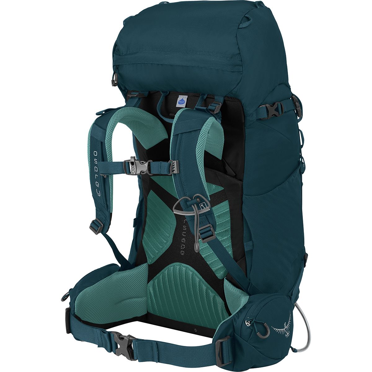 Osprey Packs Kyte 36L Backpack Women's Hike & Camp