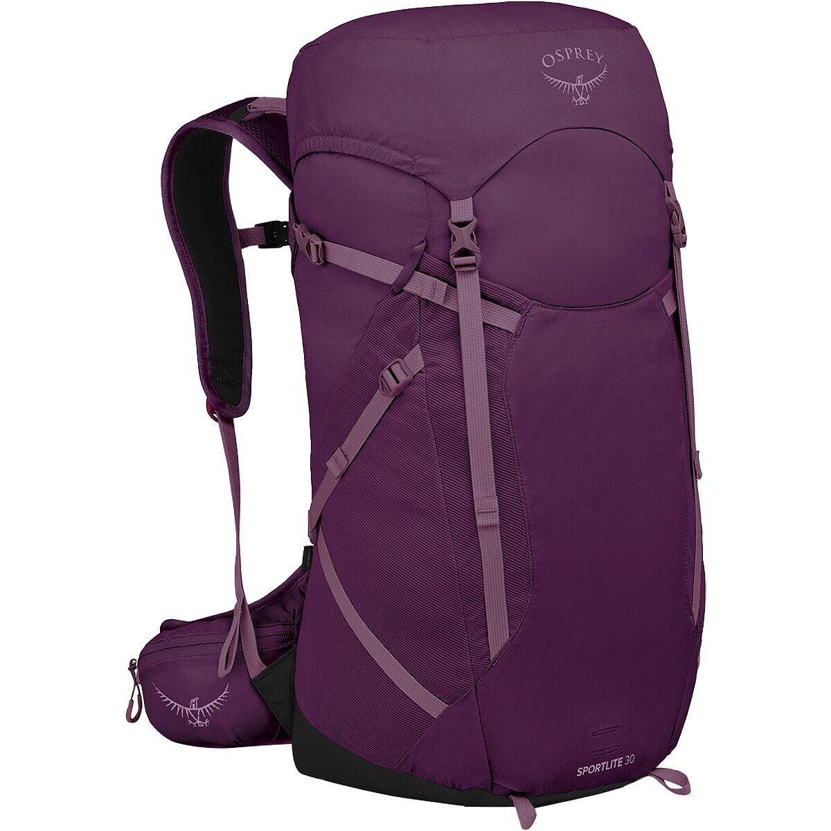 Osprey Packs Sportlite 30L Backpack Accessories