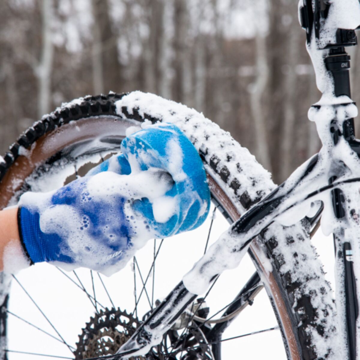 Park Tool BCB-5 Professional Bike Cleaning Brush Set