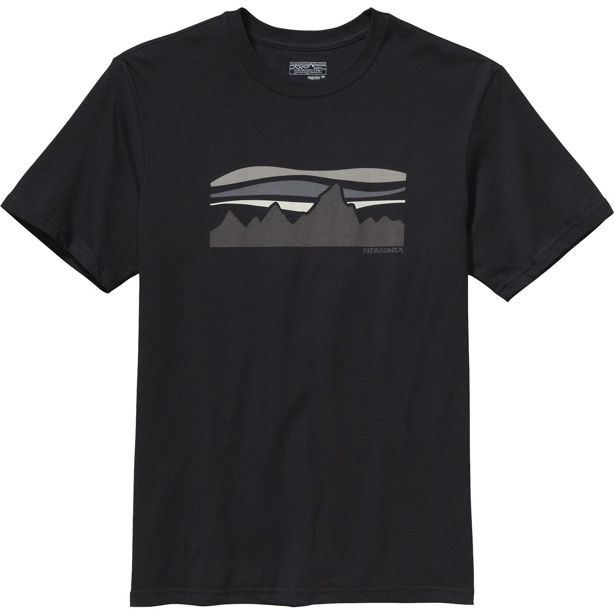 Patagonia Fitz Roy Banner T-Shirt - Men's - Clothing
