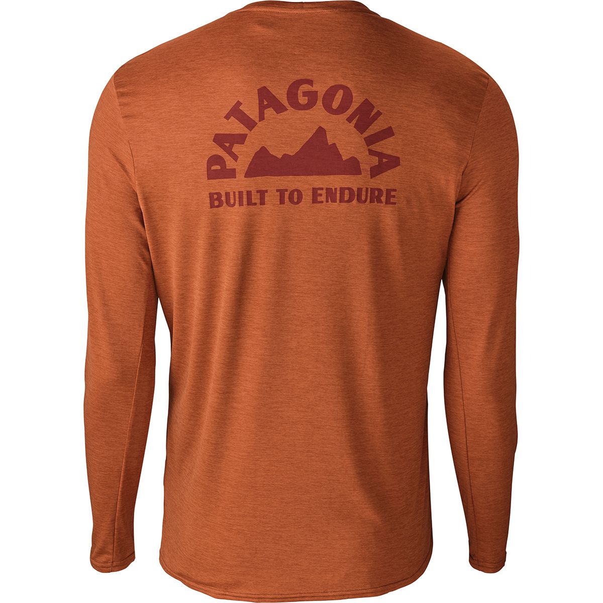 Patagonia Capilene Daily Long-Sleeve Graphic T-Shirt - Men's ...