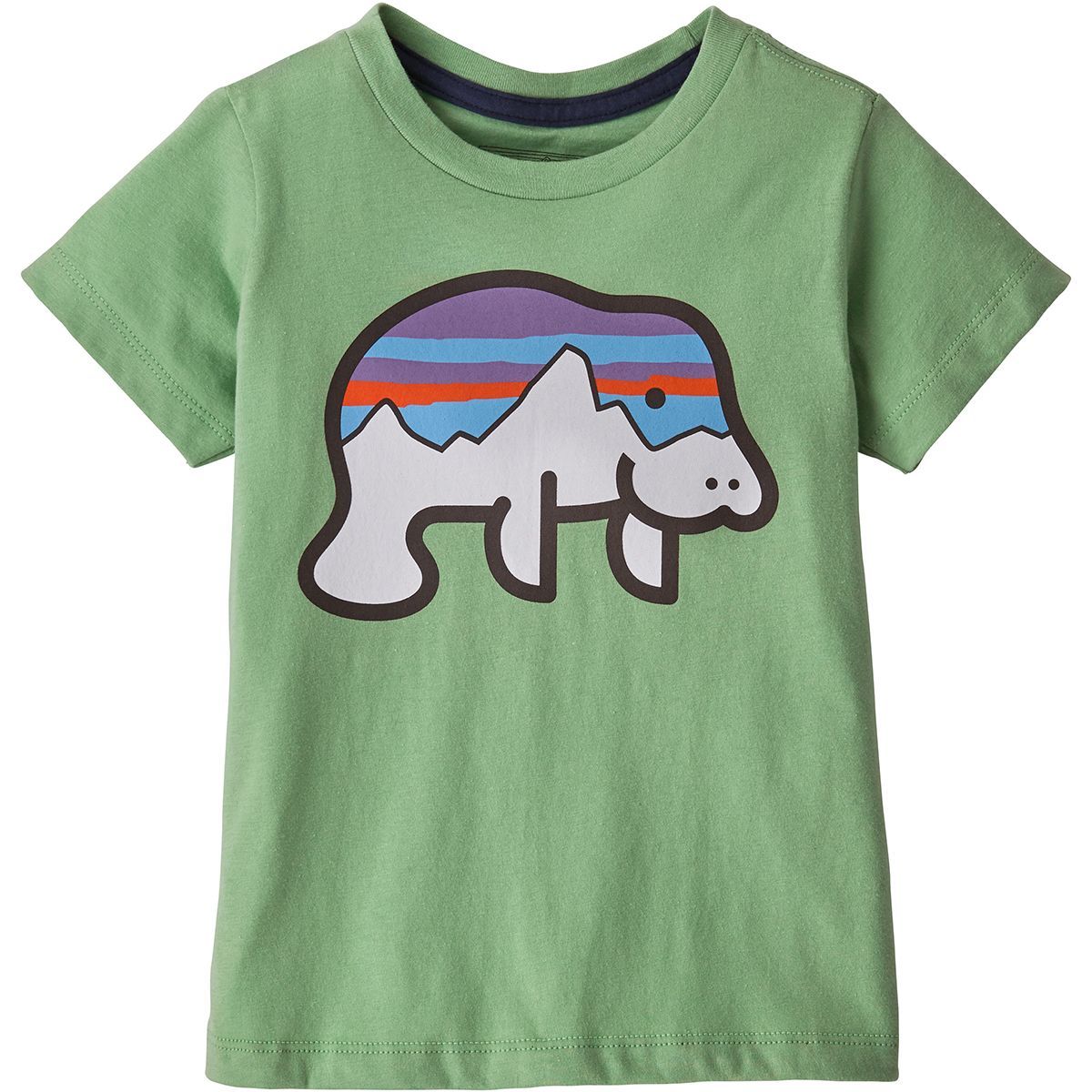 boys patagonia tshirt