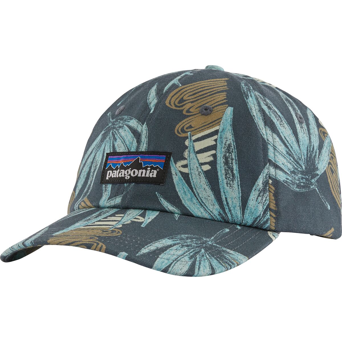 Patagonia P-6 Label Trad Cap