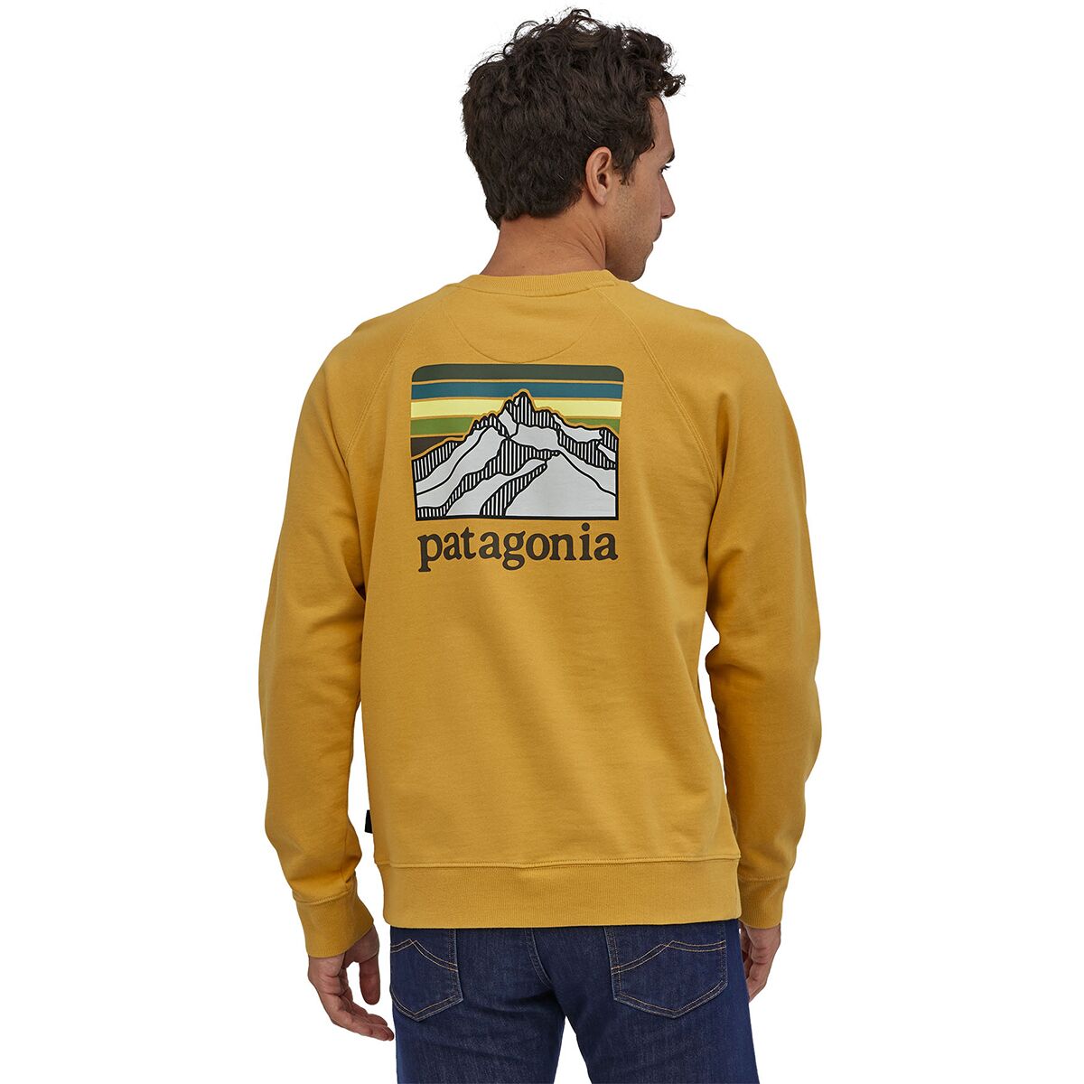 Patagonia Line Logo Ridge Organic Crew Sweatshirt Men's Clothing