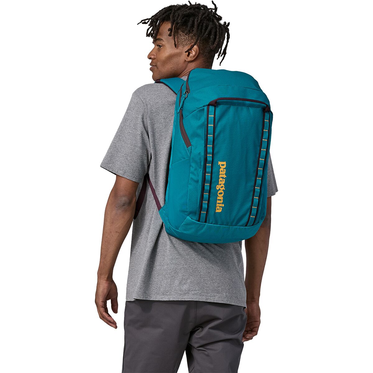 Patagonia Black Hole 32L Backpack