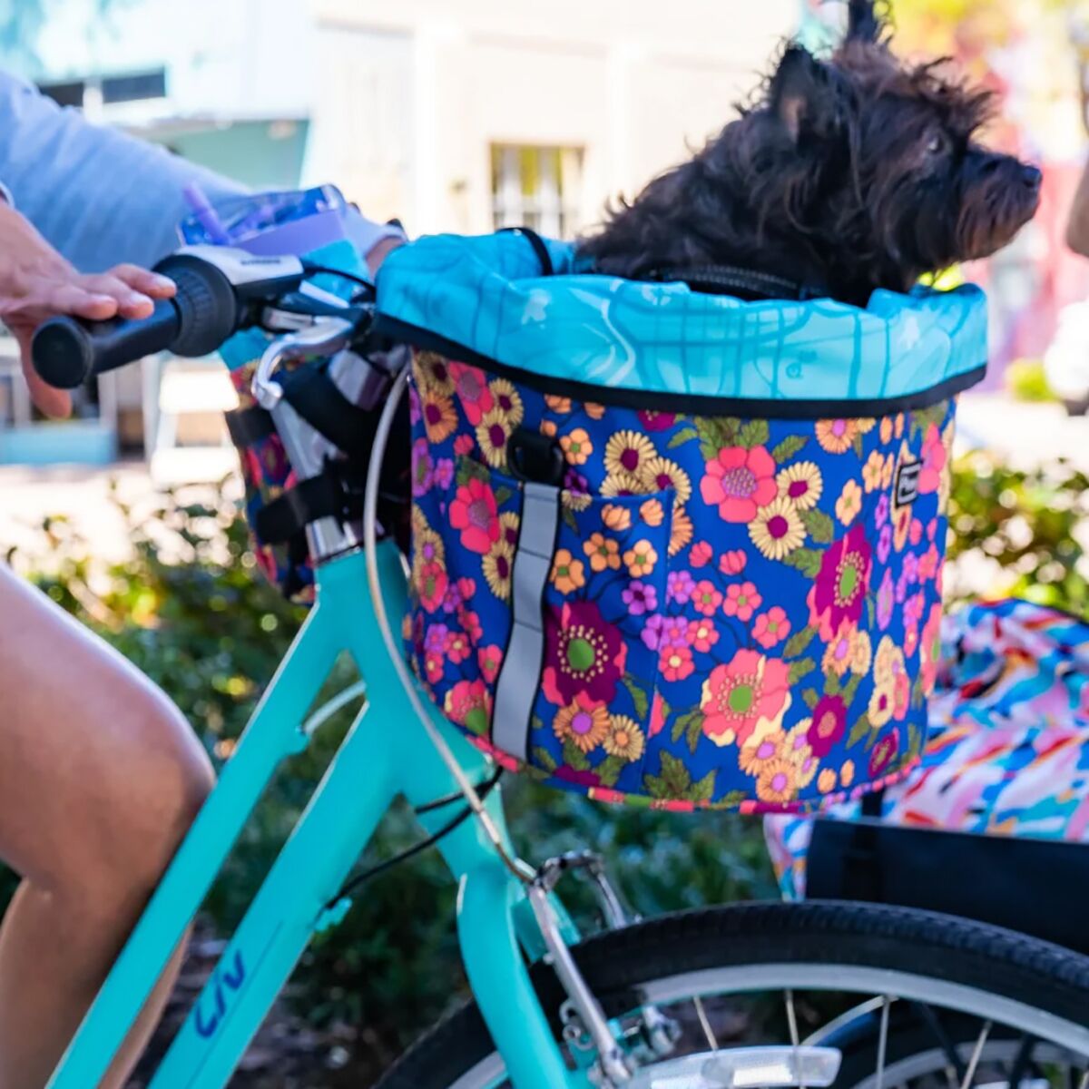 Po Campo Pinellas Bike Basket