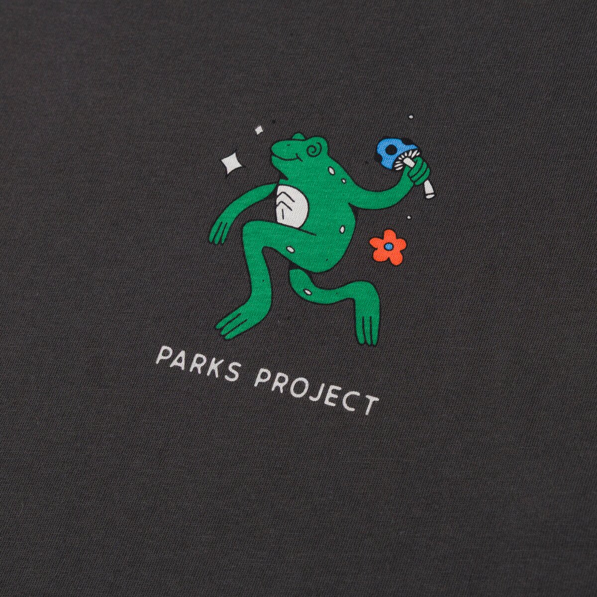 Футболка Parks Project Great Outdoors Dancin' Frogs Checklist, цвет: Винтажный чёрный — фото 4