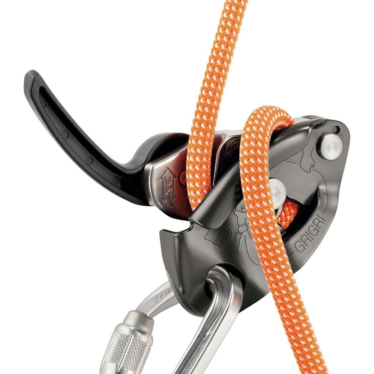 petzl corax grigri