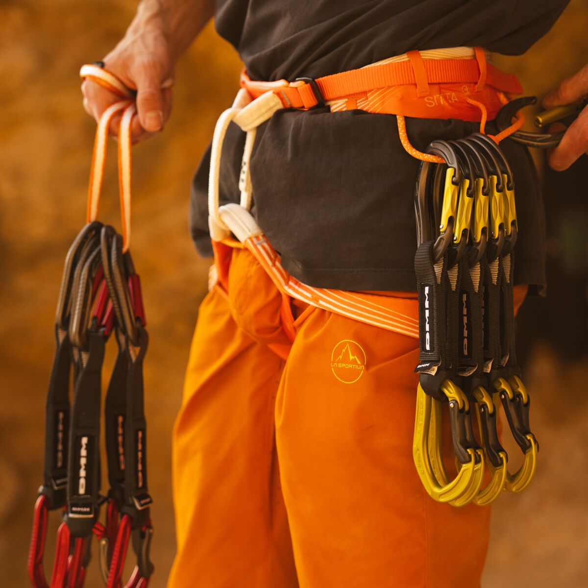 Petzl Sitta Harness