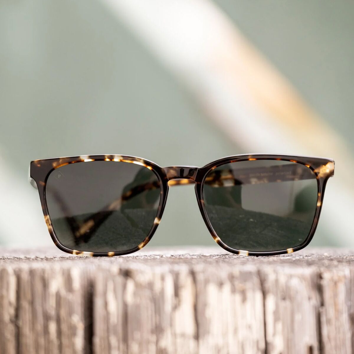 RAEN optics Pierce Polarized Sunglasses