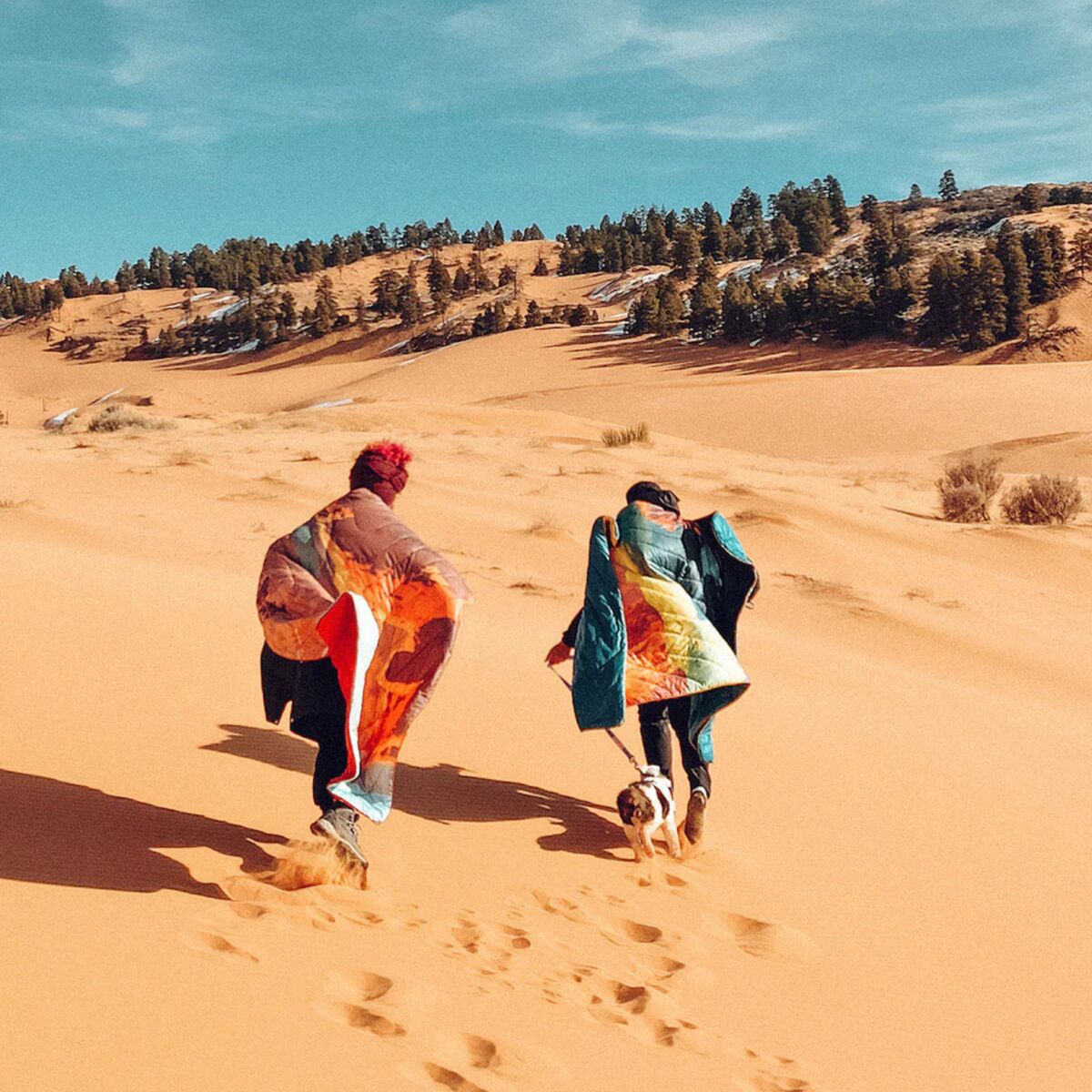 Rumpl Original Puffy Grand Canyon National Park Accessories