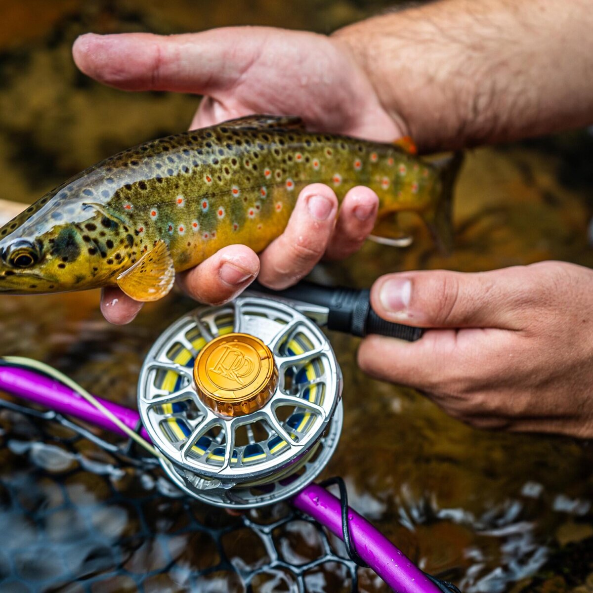 Снаряжение Ross Animas Fly Reel, цвет: Матовый чёрный — фото 8