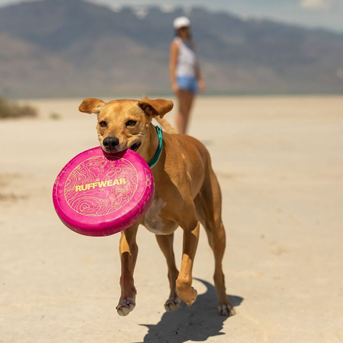 Ruffwear Camp Flyer Toy